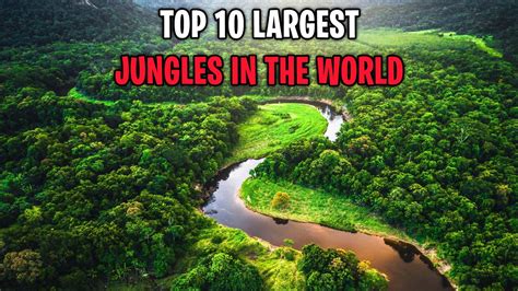 jungle world|biggest jungles in the world.